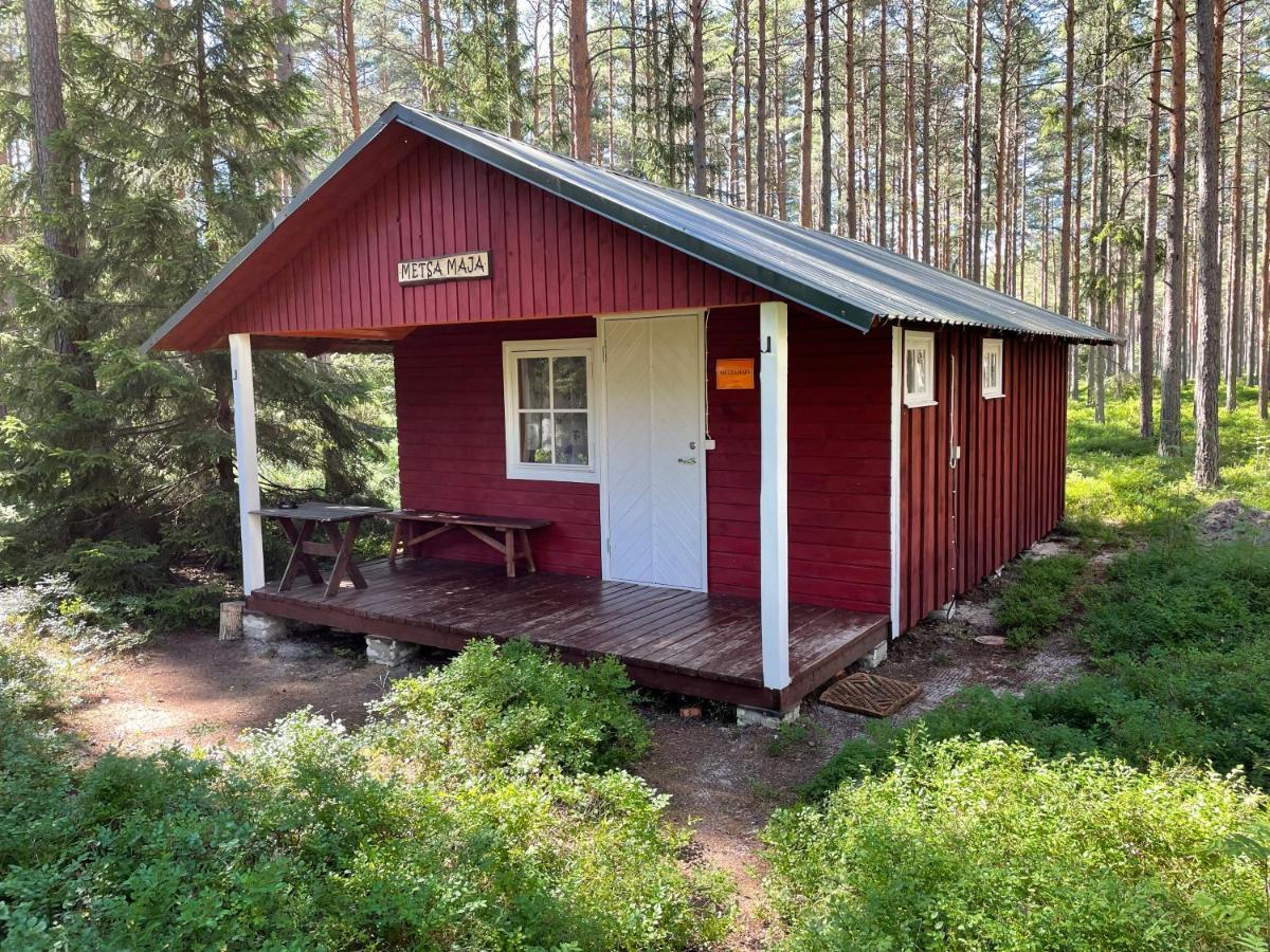 Lodge Metskonna Forest House *